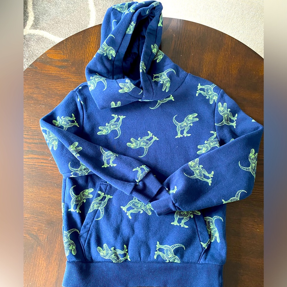 H&M Dinosaur sweatshirt